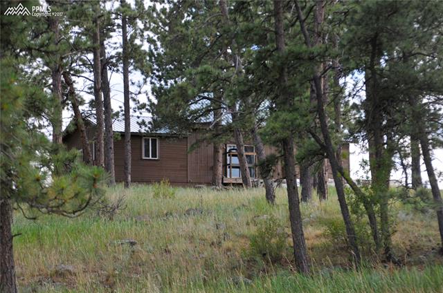 1645 Doe Valley Road Guffey, CO 80820 - Photo 21 of 23 Gallery Image 21