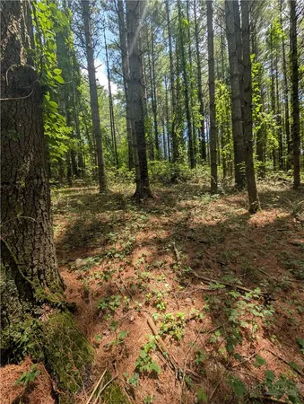$25,000 | Doell Lane, Unit 20, Sparta, NC 28675