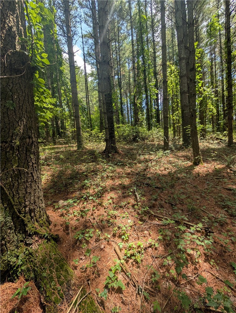 Doell Lane, Unit 20 Sparta, NC 28675 - Photo 1 of 18