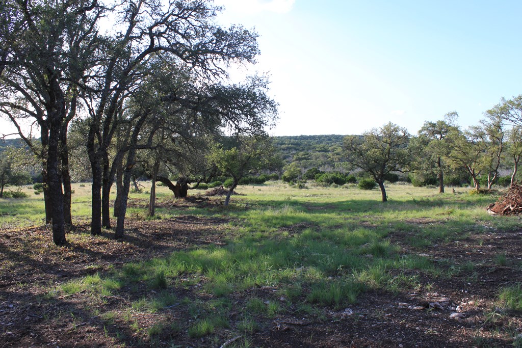 0 Other Junction Junction, TX 76849 - Photo 3 of 17