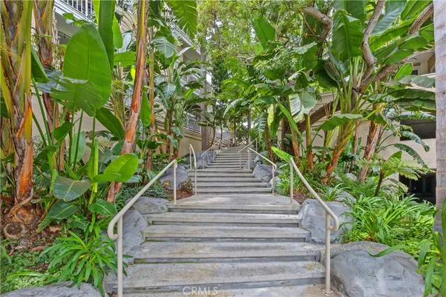 a view of stairs with plants