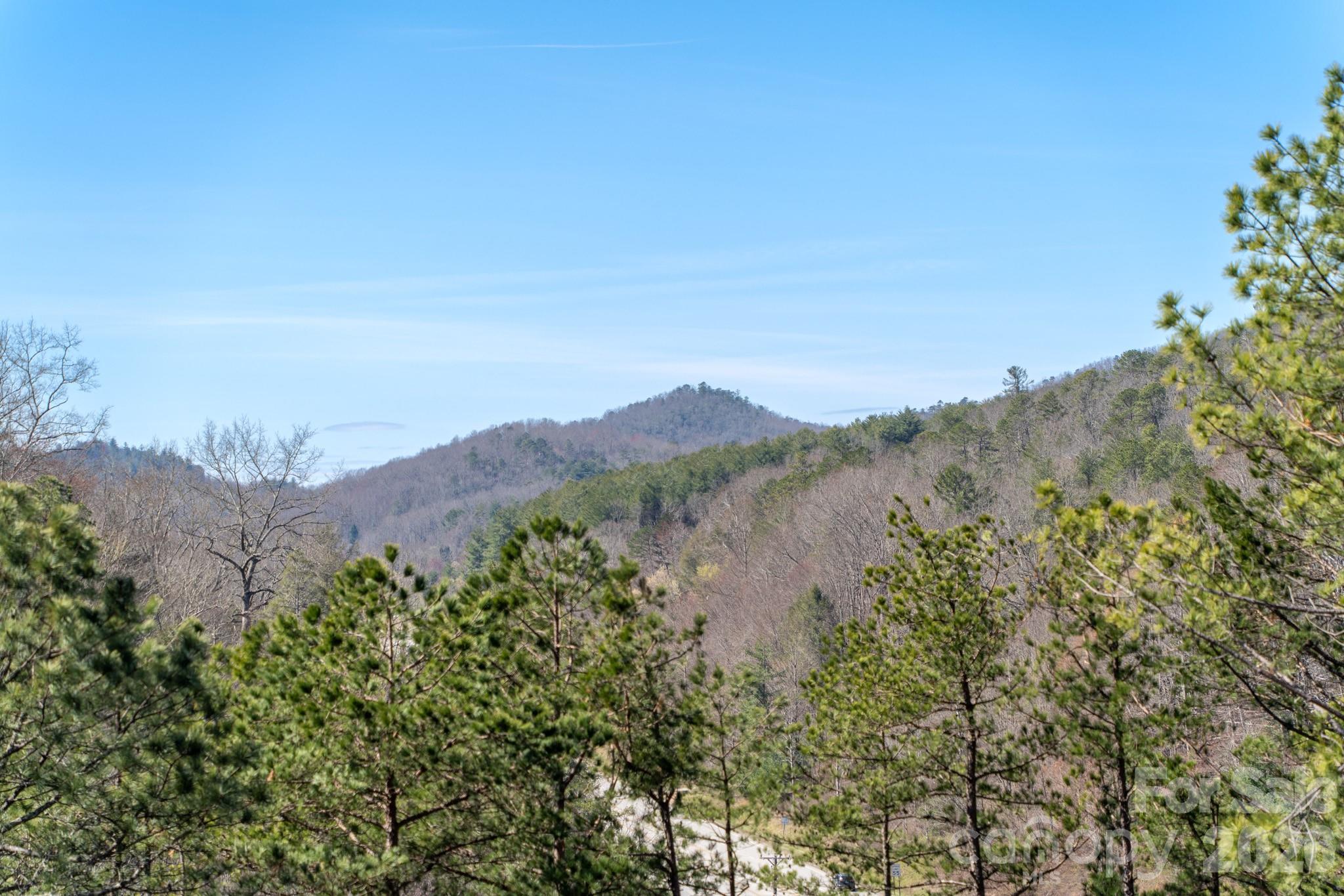 74 Jeranna Road Mills River, NC 28759 - Photo 32 of 48
