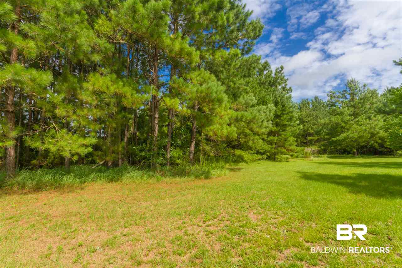 17155 Bemis Lane Elberta, AL 36530 - Photo 28 of 29