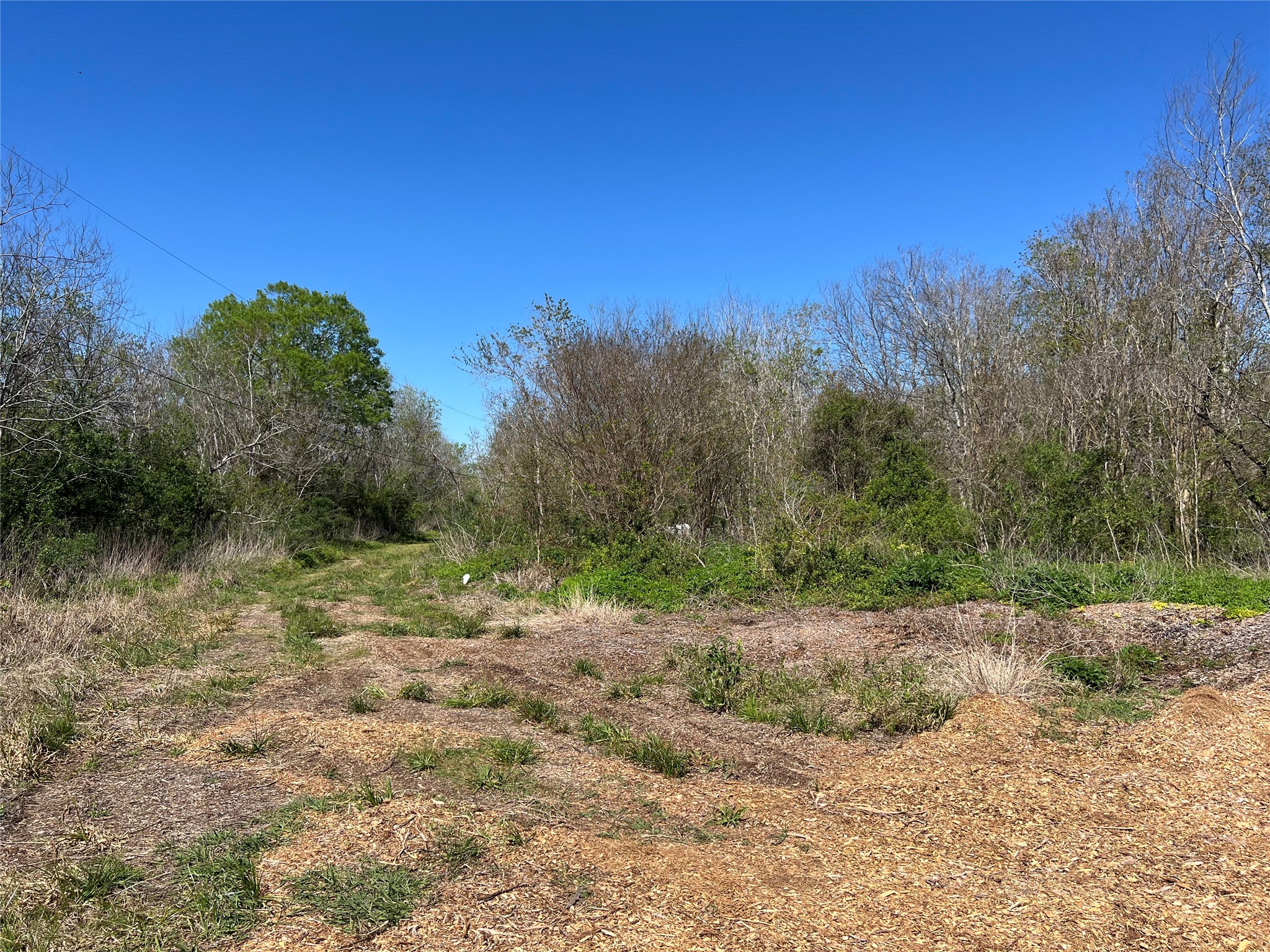 0 Highway 6 Manvel, TX 77578 - Photo 6 of 10