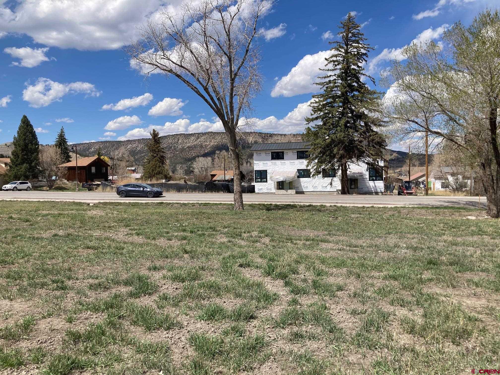 134 South Charlotte Street Ridgway, CO 81432 - Photo 13 of 23 a view of a yard with plants and large tree