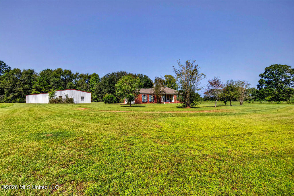847 City Bridge Road Perkinston, MS 39573 - Photo 8 of 65 847CityBridgeRd-8