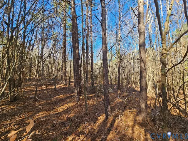 $42,000 | 0 West Courthouse Road, Crewe, VA 23930