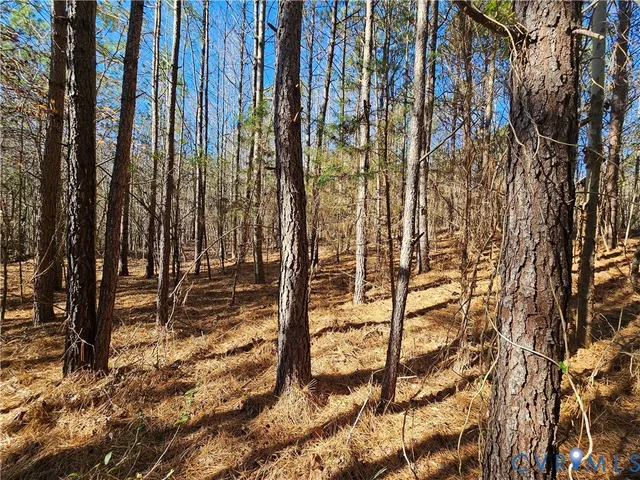 $42,000 | 0 West Courthouse Road, Crewe, VA 23930