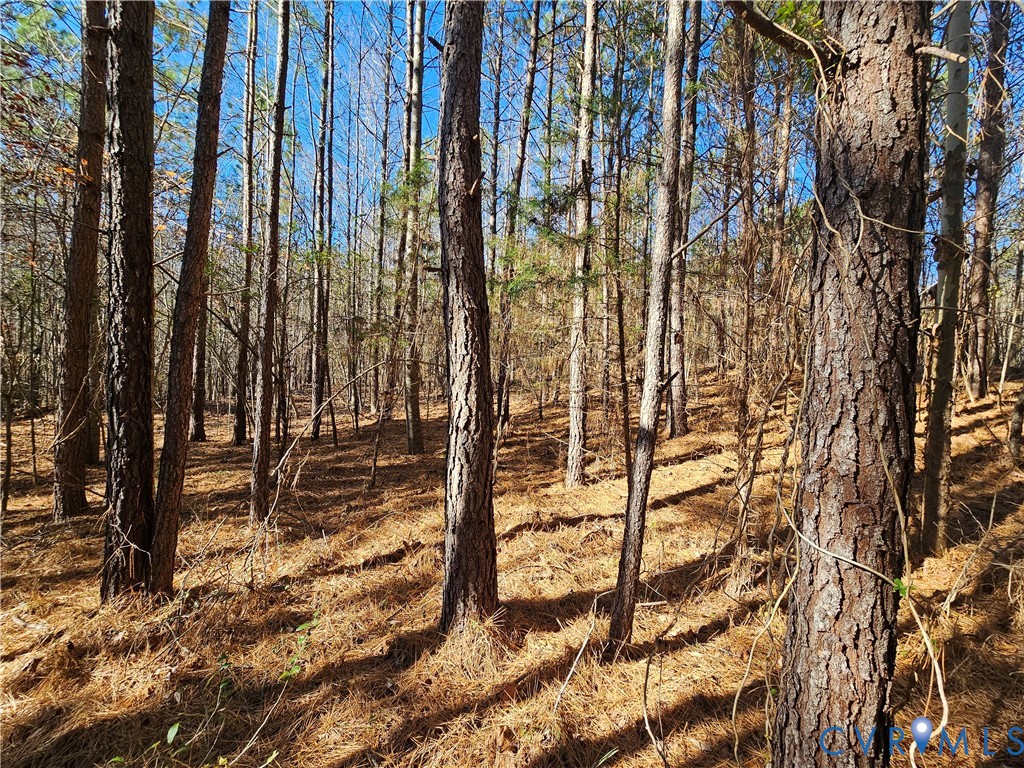 0 West Courthouse Road Crewe, VA 23930 - Photo 12 of 41