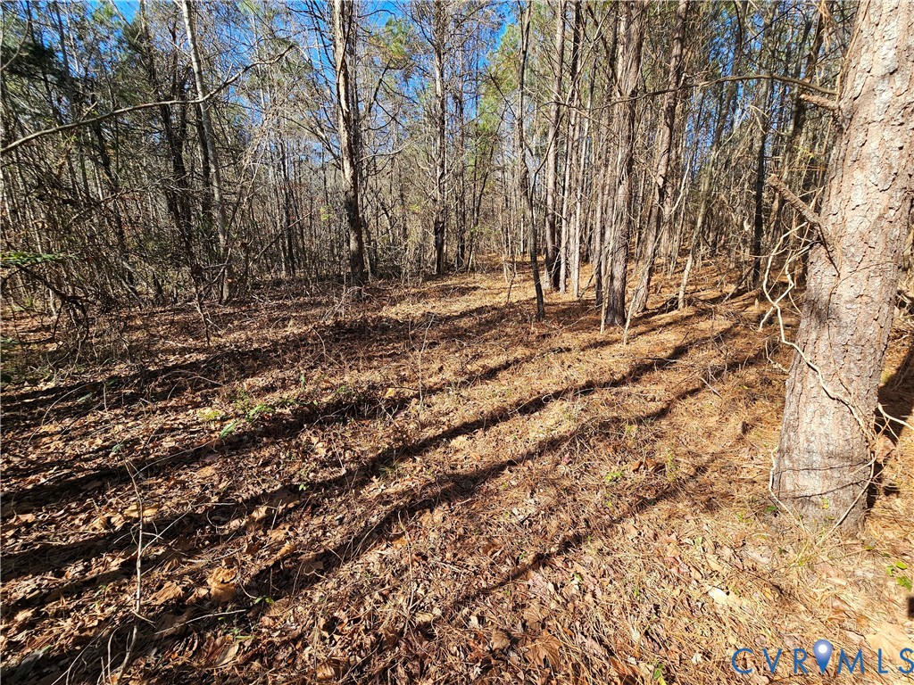 0 West Courthouse Road Crewe, VA 23930 - Photo 13 of 41