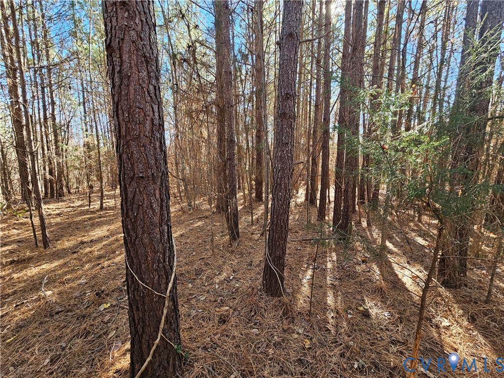 0 West Courthouse Road Crewe, VA 23930 - Photo 14 of 41