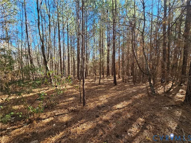 $42,000 | 0 West Courthouse Road, Crewe, VA 23930