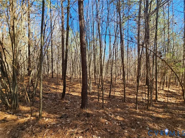 $42,000 | 0 West Courthouse Road, Crewe, VA 23930