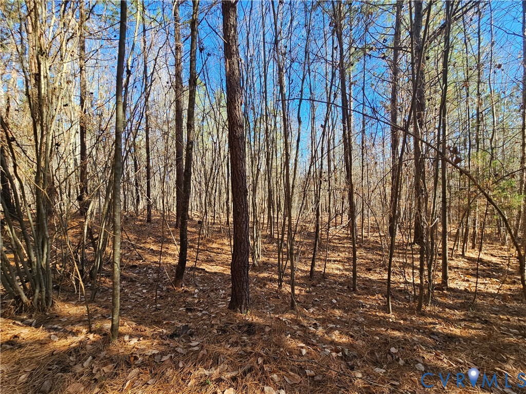 0 West Courthouse Road Crewe, VA 23930 - Photo 16 of 41