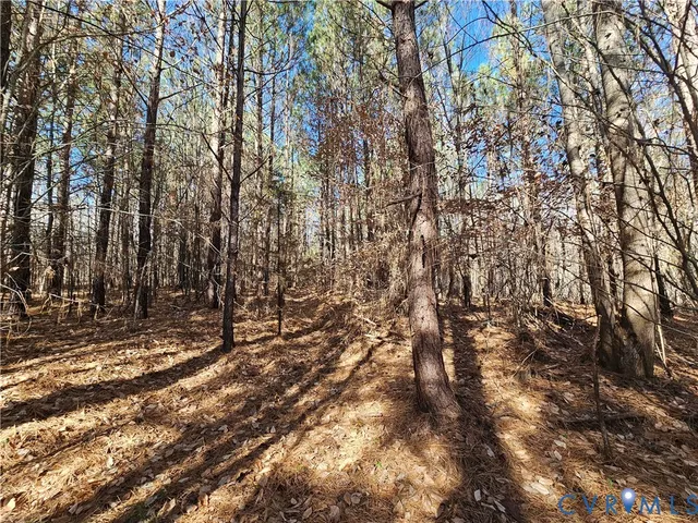 $42,000 | 0 West Courthouse Road, Crewe, VA 23930