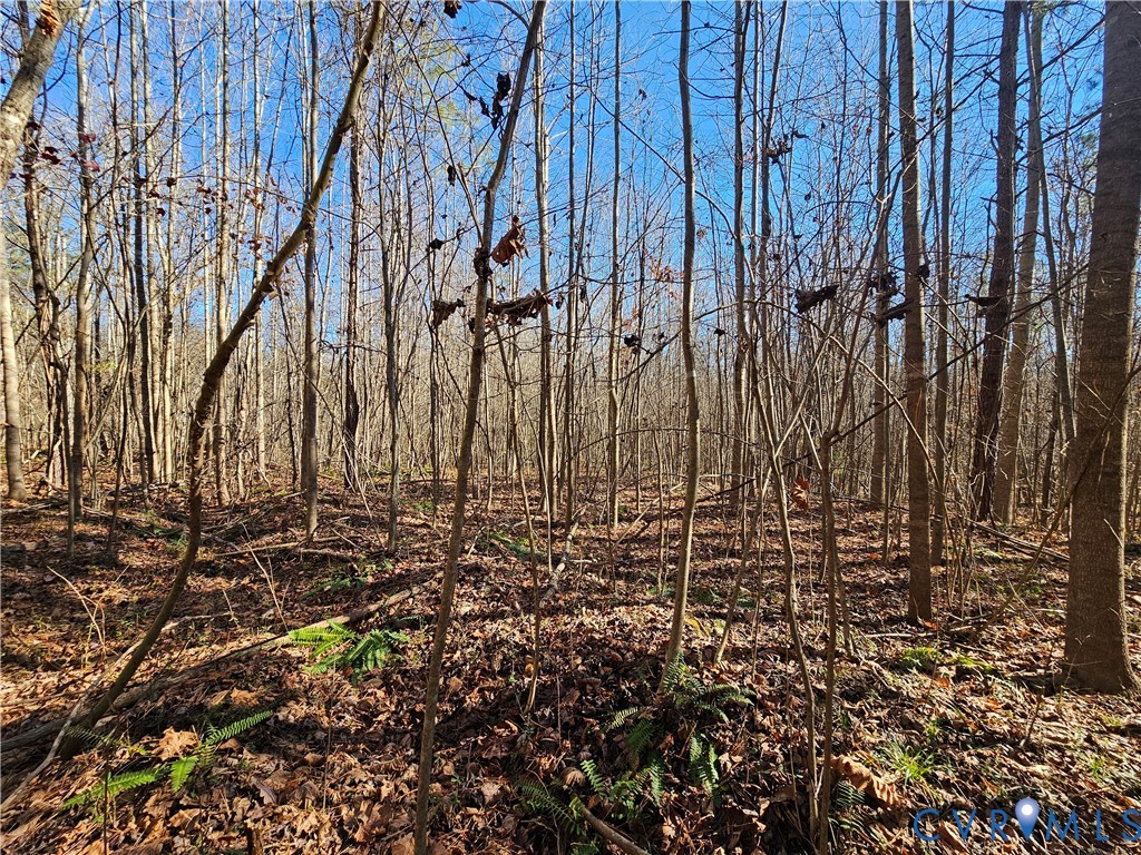 0 West Courthouse Road Crewe, VA 23930 - Photo 18 of 41