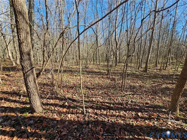 $42,000 | 0 West Courthouse Road, Crewe, VA 23930