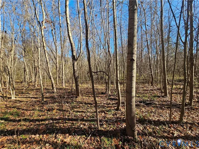 $42,000 | 0 West Courthouse Road, Crewe, VA 23930