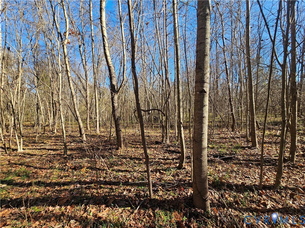 0 West Courthouse Road Crewe, VA 23930 - Photo 20 of 41