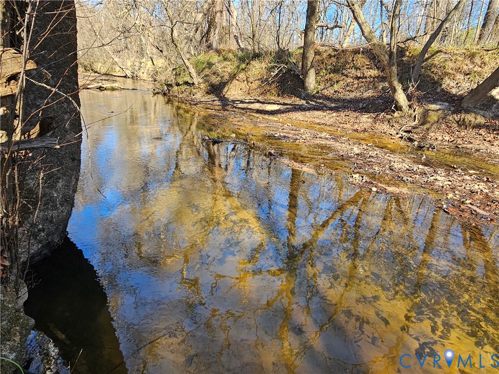 0 West Courthouse Road Crewe, VA 23930 - Photo 2 of 41