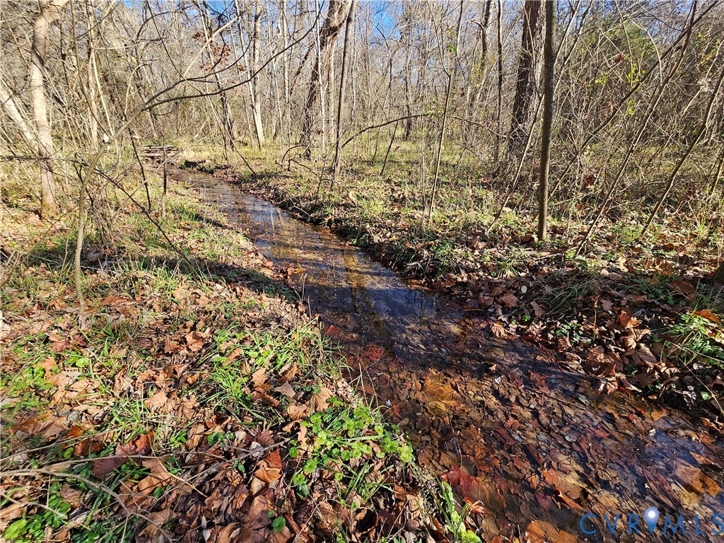 0 West Courthouse Road Crewe, VA 23930 - Photo 21 of 41