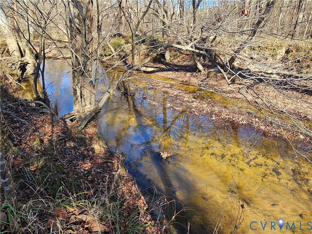 0 West Courthouse Road Crewe, VA 23930 - Photo 24 of 41