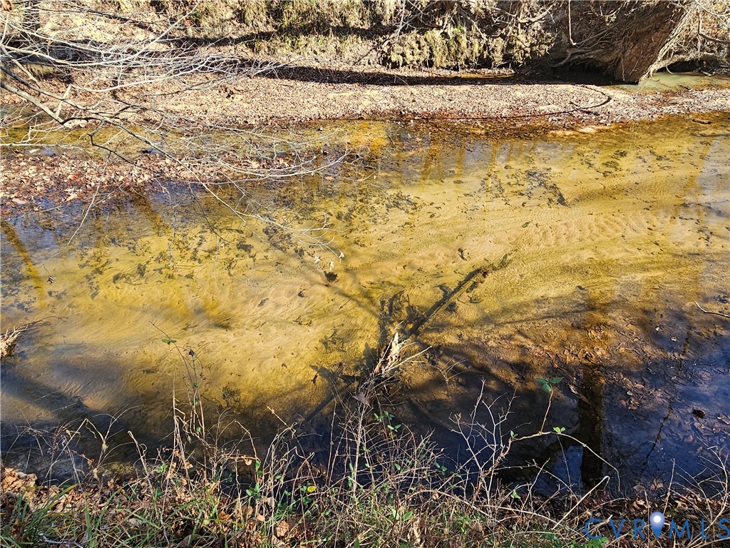 0 West Courthouse Road Crewe, VA 23930 - Photo 25 of 41