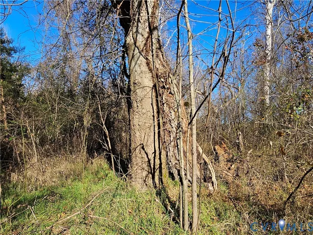 $42,000 | 0 West Courthouse Road, Crewe, VA 23930