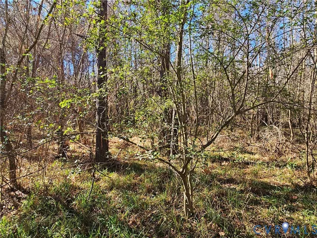 $42,000 | 0 West Courthouse Road, Crewe, VA 23930