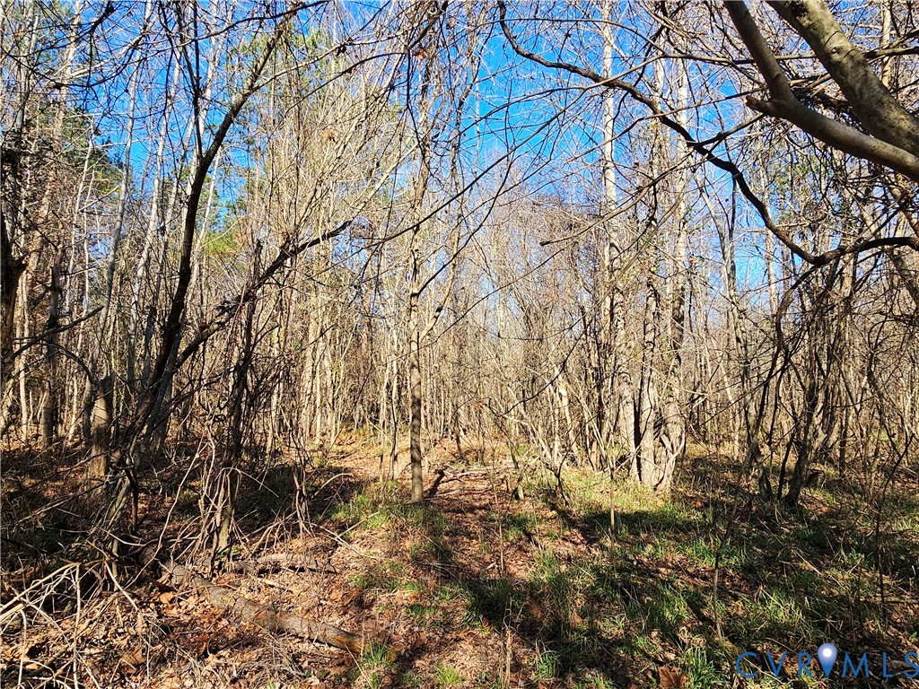 0 West Courthouse Road Crewe, VA 23930 - Photo 30 of 41