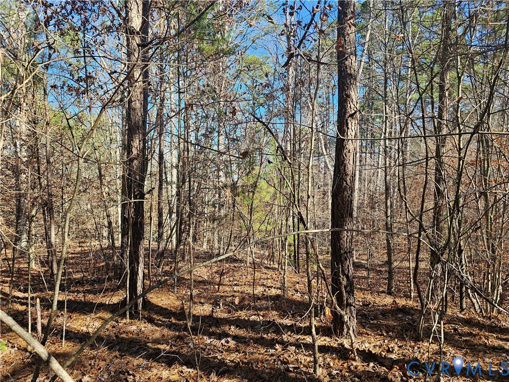 0 West Courthouse Road Crewe, VA 23930 - Photo 3 of 41