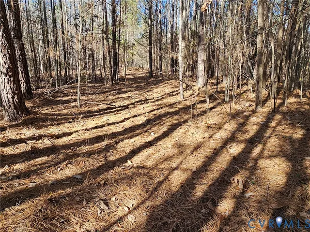 $42,000 | 0 West Courthouse Road, Crewe, VA 23930