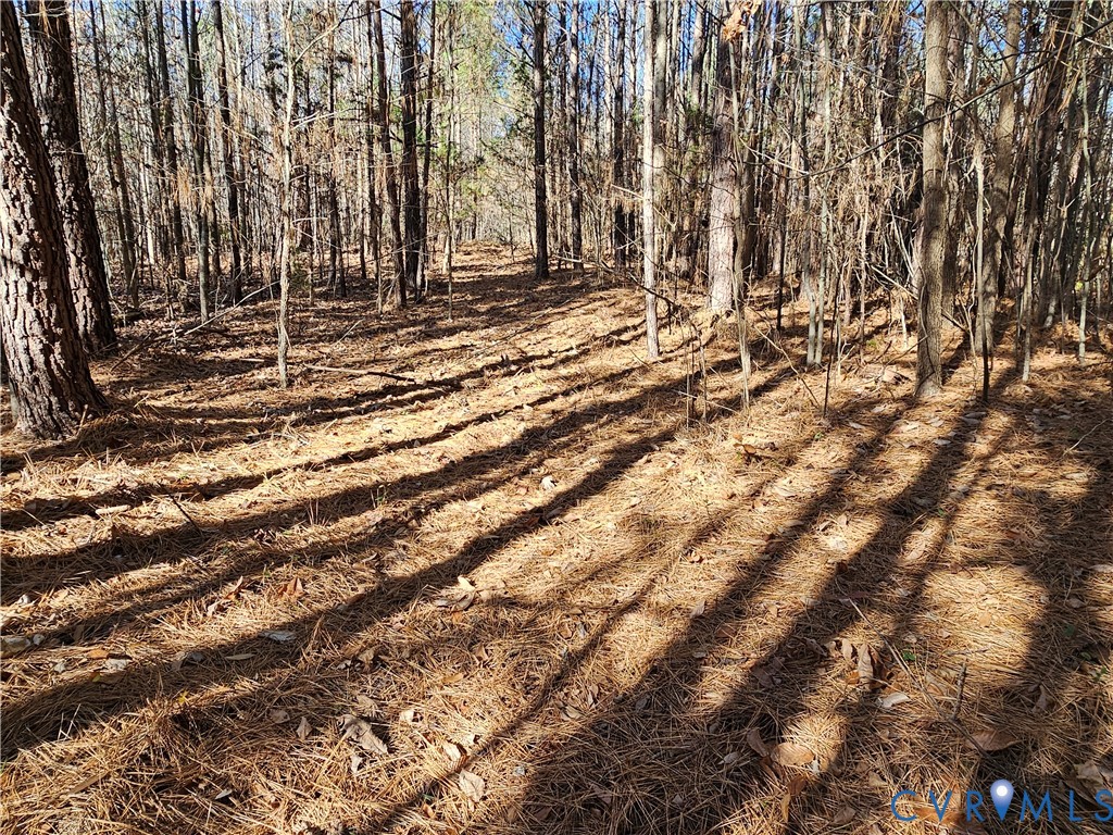 0 West Courthouse Road Crewe, VA 23930 - Photo 31 of 41