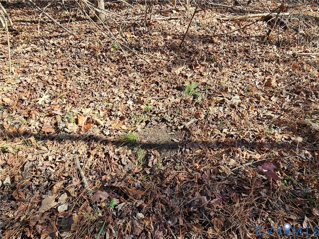 0 West Courthouse Road Crewe, VA 23930 - Photo 32 of 41