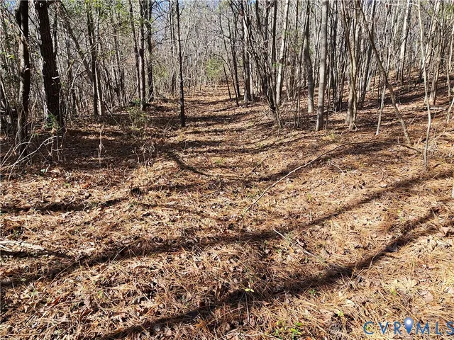 $42,000 | 0 West Courthouse Road, Crewe, VA 23930