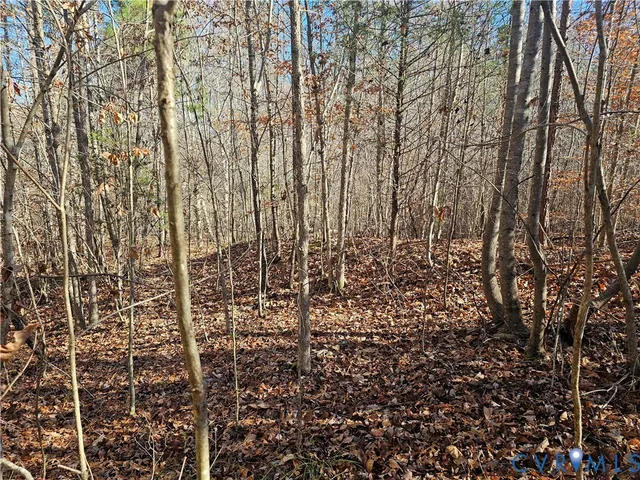 $42,000 | 0 West Courthouse Road, Crewe, VA 23930