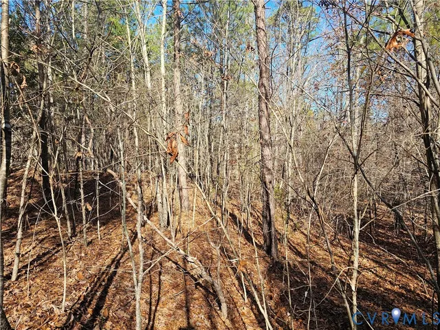 $42,000 | 0 West Courthouse Road, Crewe, VA 23930