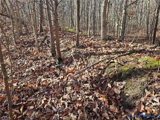 $42,000 | 0 West Courthouse Road, Crewe, VA 23930