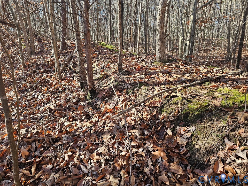 0 West Courthouse Road Crewe, VA 23930 - Photo 6 of 41