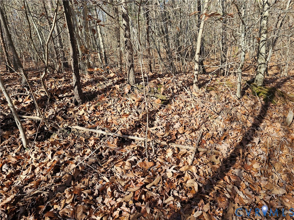 0 West Courthouse Road Crewe, VA 23930 - Photo 7 of 41