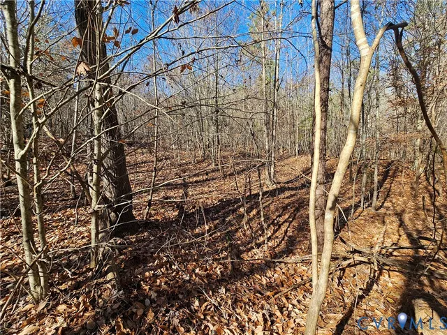 $42,000 | 0 West Courthouse Road, Crewe, VA 23930