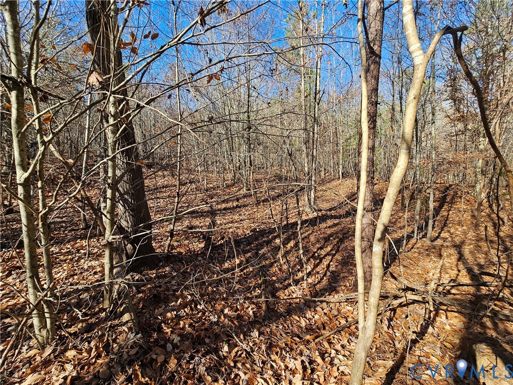 0 West Courthouse Road Crewe, VA 23930 - Photo 8 of 41