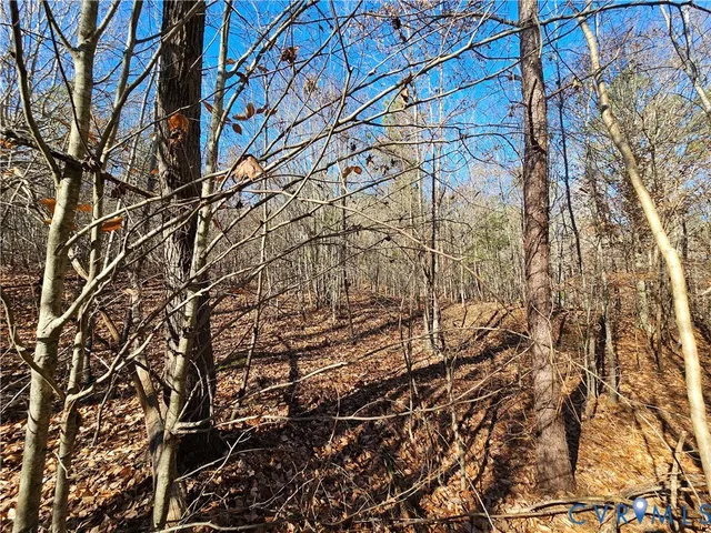 $42,000 | 0 West Courthouse Road, Crewe, VA 23930