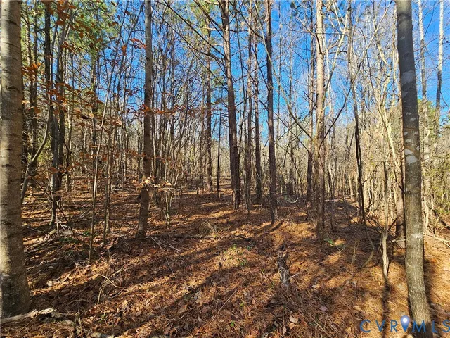 $42,000 | 0 West Courthouse Road, Crewe, VA 23930