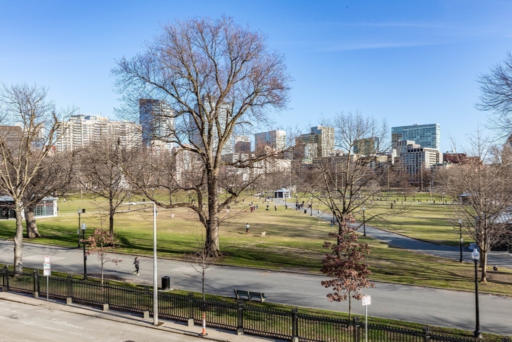 62 Beacon Street, Unit 3 Boston, MA 02108 - Photo 22 of 25 a view of a yard with an trees