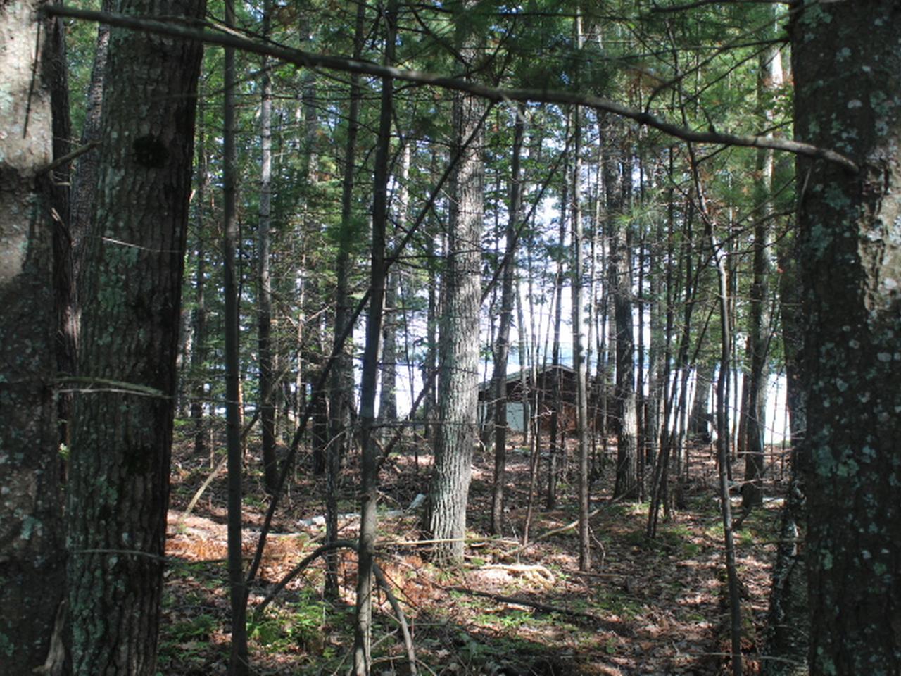 7774 Braeger Road Three Lakes, WI 54562 - Photo 7 of 8 Gallery Image 7