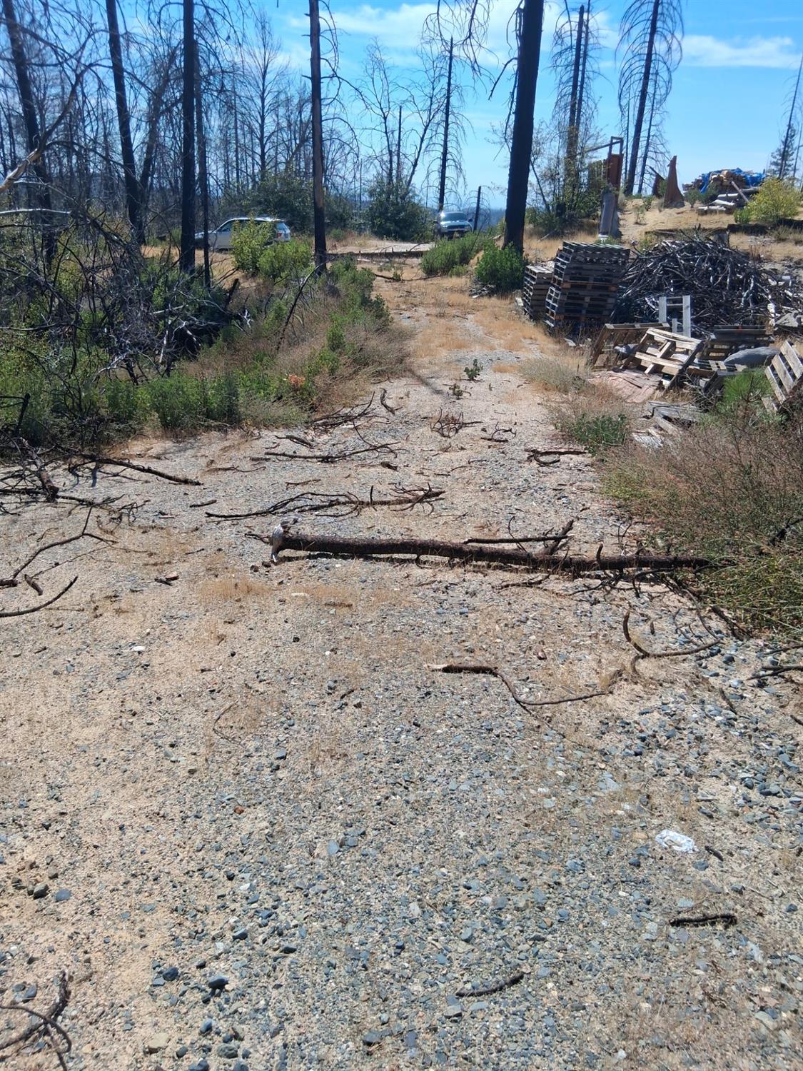0 Bald Rock Road Berry Creek, CA 95916 - Photo 5 of 7 a backyard of a house with lots of green space