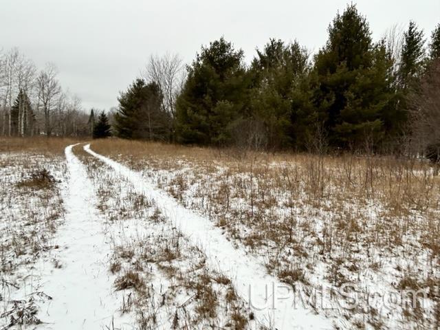 Tbd5 Larson Road Atlantic Mine, MI 49905 - Photo 22 of 56 Gallery Image 22