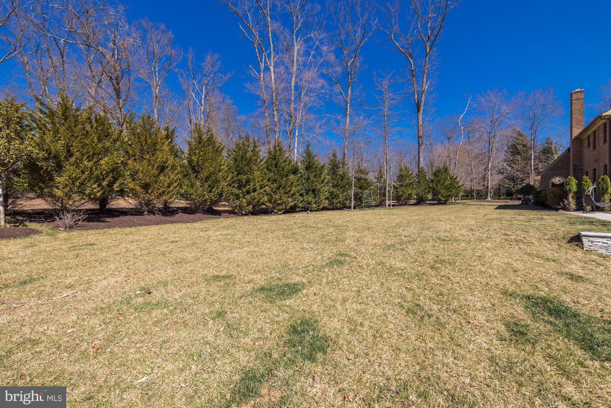 7720 Georgetown Pike McLean, VA 22102 - Photo 67 of 70 Flat yard