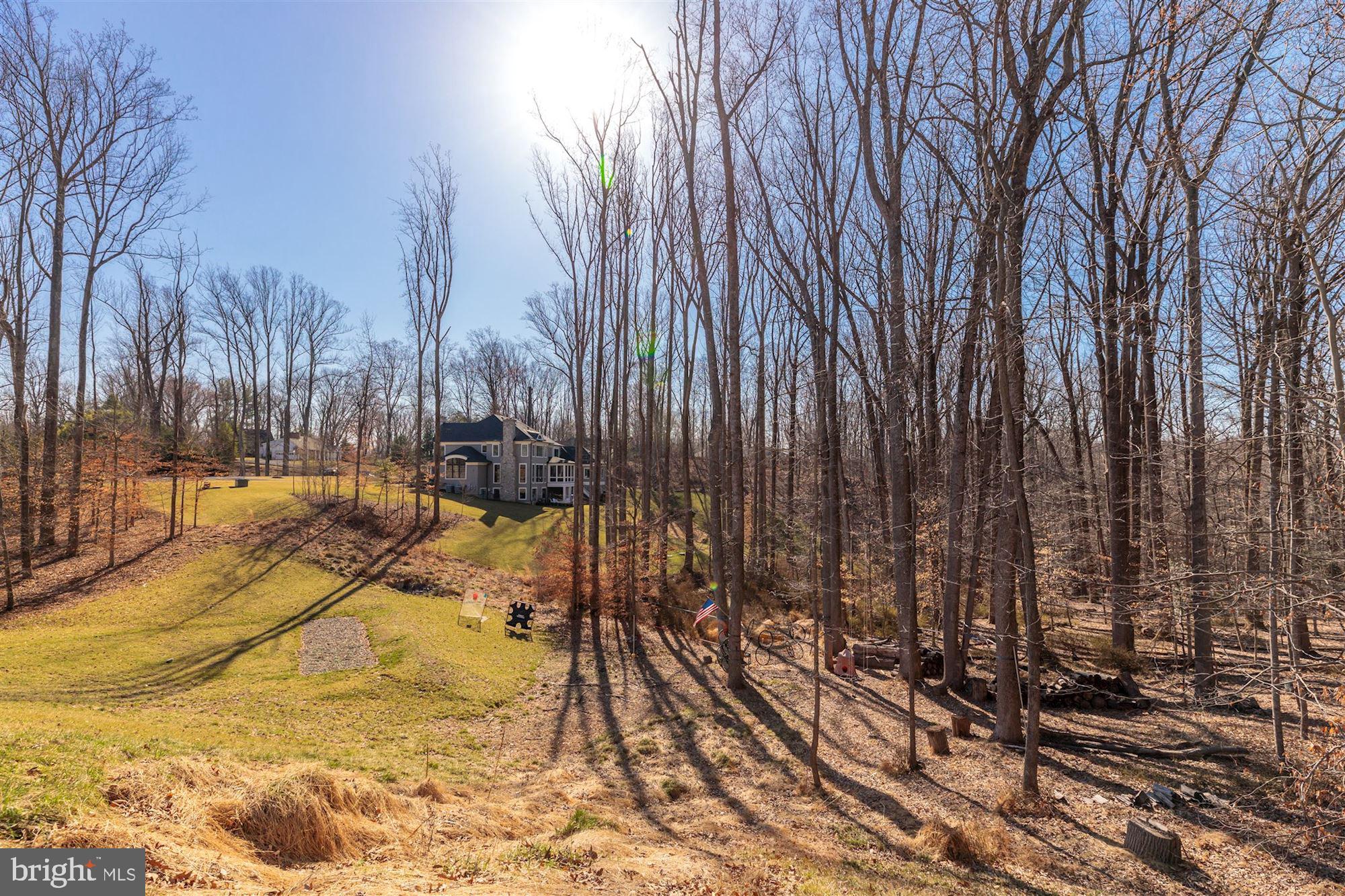 7720 Georgetown Pike McLean, VA 22102 - Photo 69 of 70 Beautiful Vistas